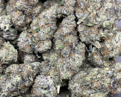ORGANIC KILLER PINK LSO (MEGA GAS) - Image 6